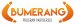 Program partnerski Bumerang